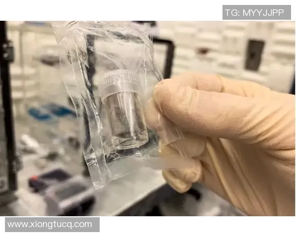 探索7位数走势图背后的秘密与趋势分析助你掌握市场动态与投资机会 探索7位数走势图背后的秘密与趋势分析助你掌握市场动态与投资机会